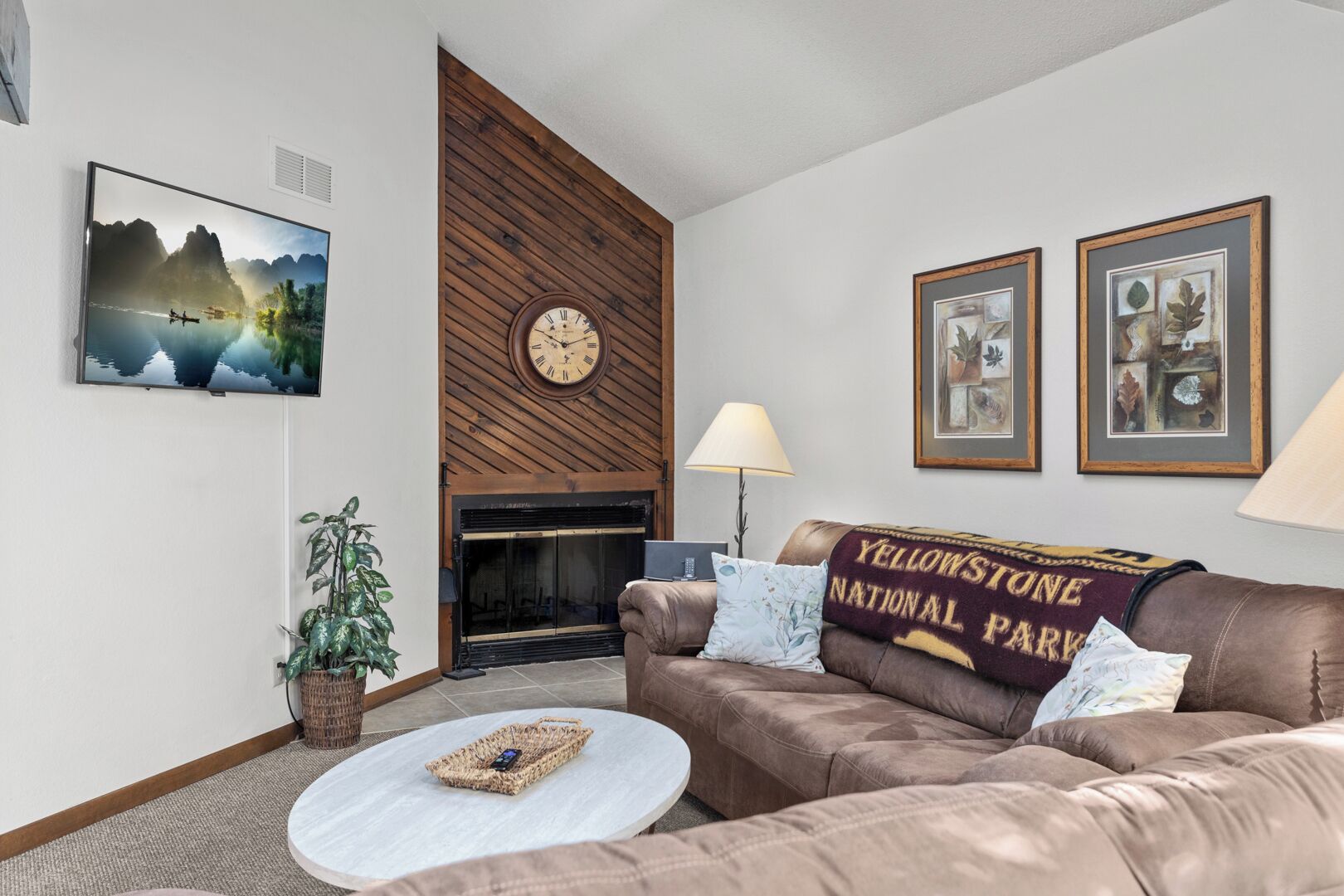 Télévision à écran plat, lecteur de DVD