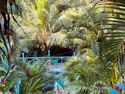 CASA EL ARBOL