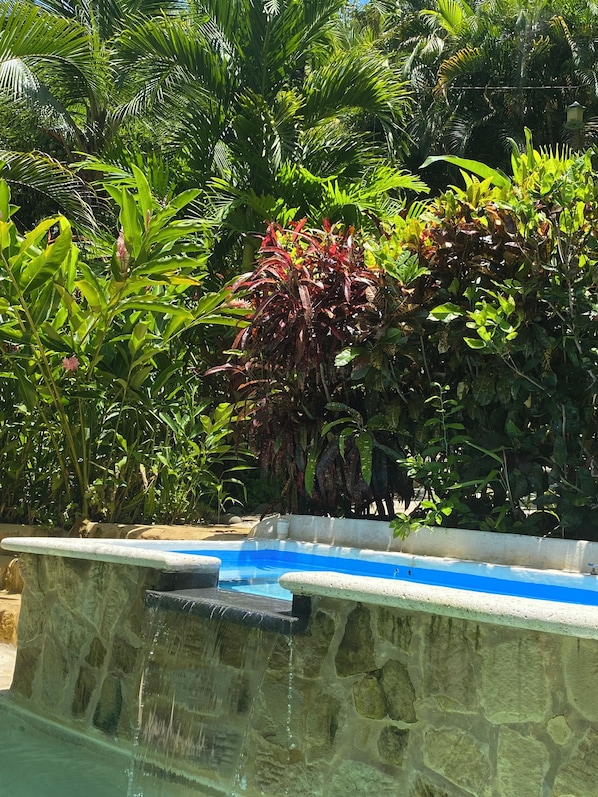 Outdoor pool - CASA EL ARBOL (Provincia de Puntarenas)