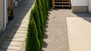 Un sentier menant à un quai, d’où l’on peut admirer un lac, le tout étant entouré de bâtiments, d’un chemin de gravier et de verdure.