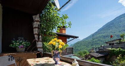 Cosy apartment for 5 people with WIFI, TV, balcony and pets allowed