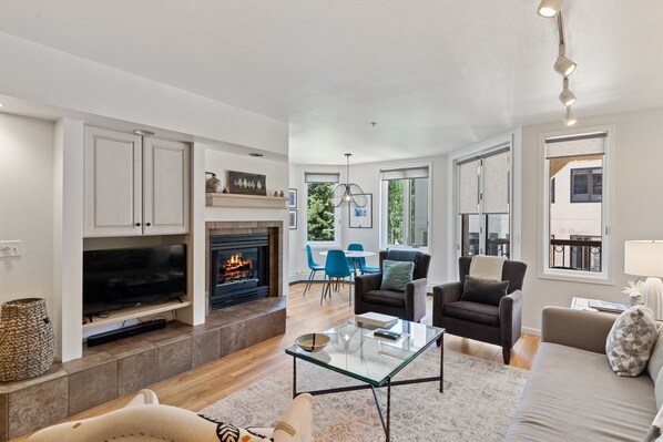 电视、壁炉、书、立体声音响