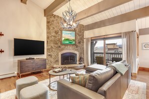 TV, fireplace, DVD player, books