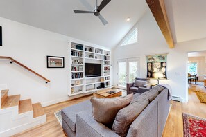 TV, fireplace, DVD player, books