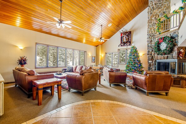 TV, fireplace, books