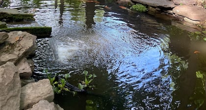 Peaceful & Serene 🦌 Cozy Hillside Cabin ☀️ Koi Pond 🐸 Pet Friendly 🐕