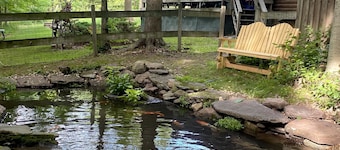 Peaceful & Serene 🦌 Cozy Hillside Cabin ☀️ Koi Pond 🐸 Pet Friendly 🐕
