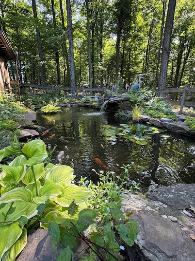 Peaceful & Serene 🦌 Cozy Hillside Cabin ☀️ Koi Pond 🐸 Pet Friendly 🐕
