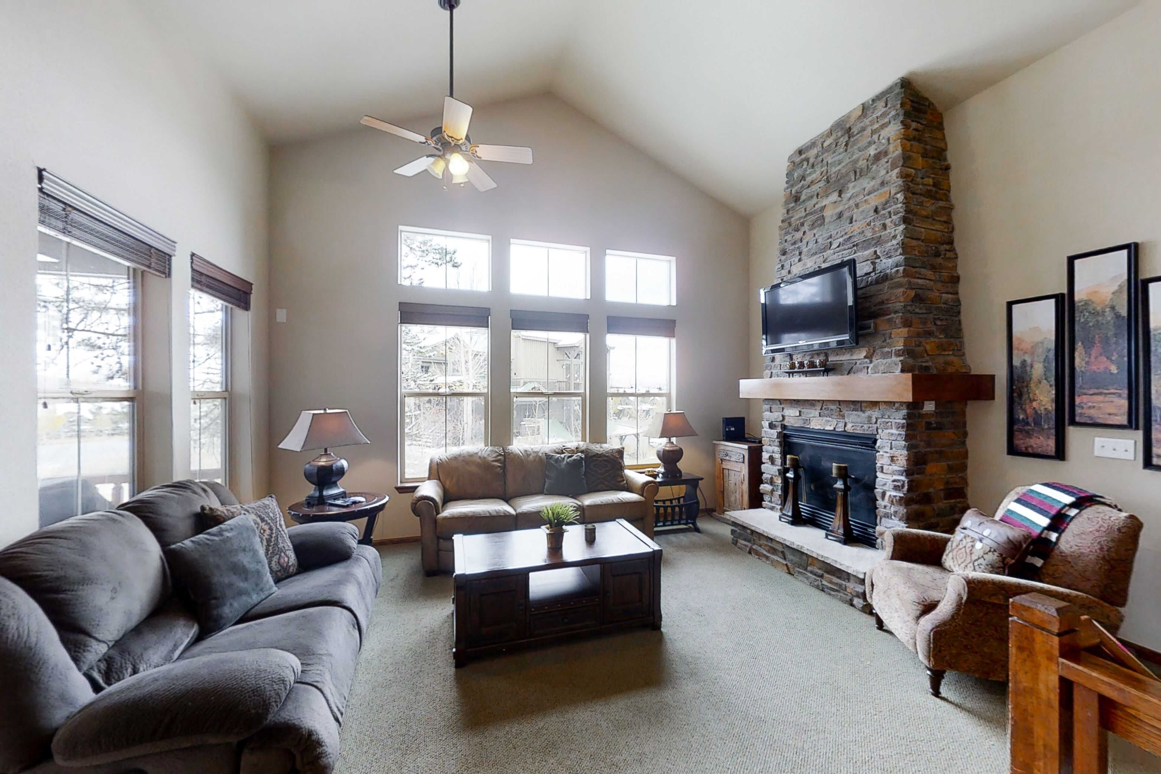 Télévision à écran plat, cheminée, lecteur de DVD, livres