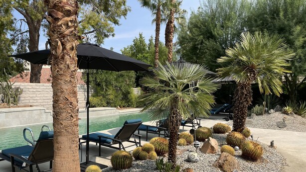 A poolside area with lounge chairs, a palm tree, and cacti. - Gorgeous getaway near El Paseo!  Huge property with huge pool. Tesla charger! (Palm Desert)