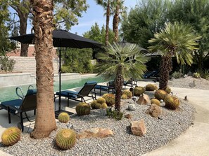 Un espace aménagé au bord de la piscine, avec des chaises longues, un palmier et des cactus.