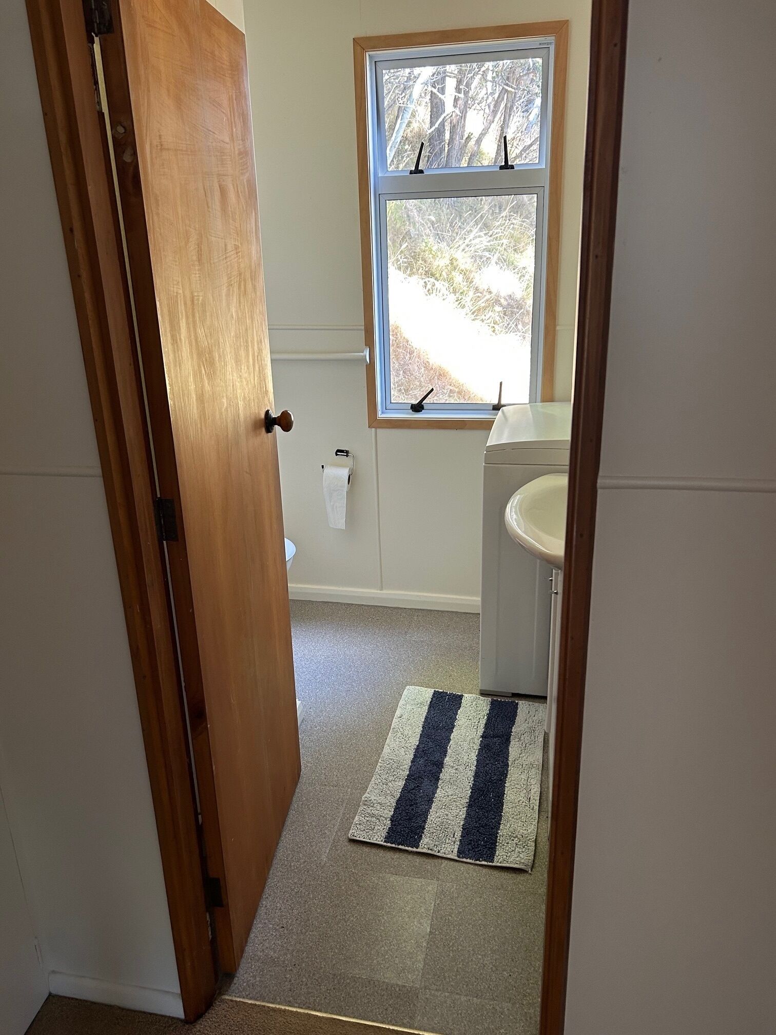 A bathroom with a window, a towel rack, and a striped rug.
