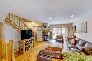 TV, fireplace, DVD player, books