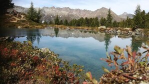 Ein Bergsee mit klarem Wasser, umgeben von Bäumen und felsigem Gelände.