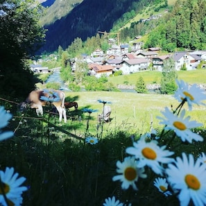 A rural village with houses, a river, and grazing cows.