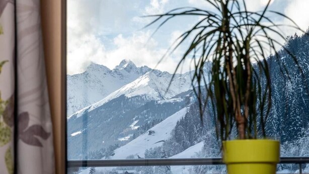 Ein Fenster mit Blick auf schneebedeckte Berge und einem gelben Blumentopf im Vordergrund.