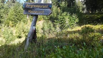 Área da propriedade