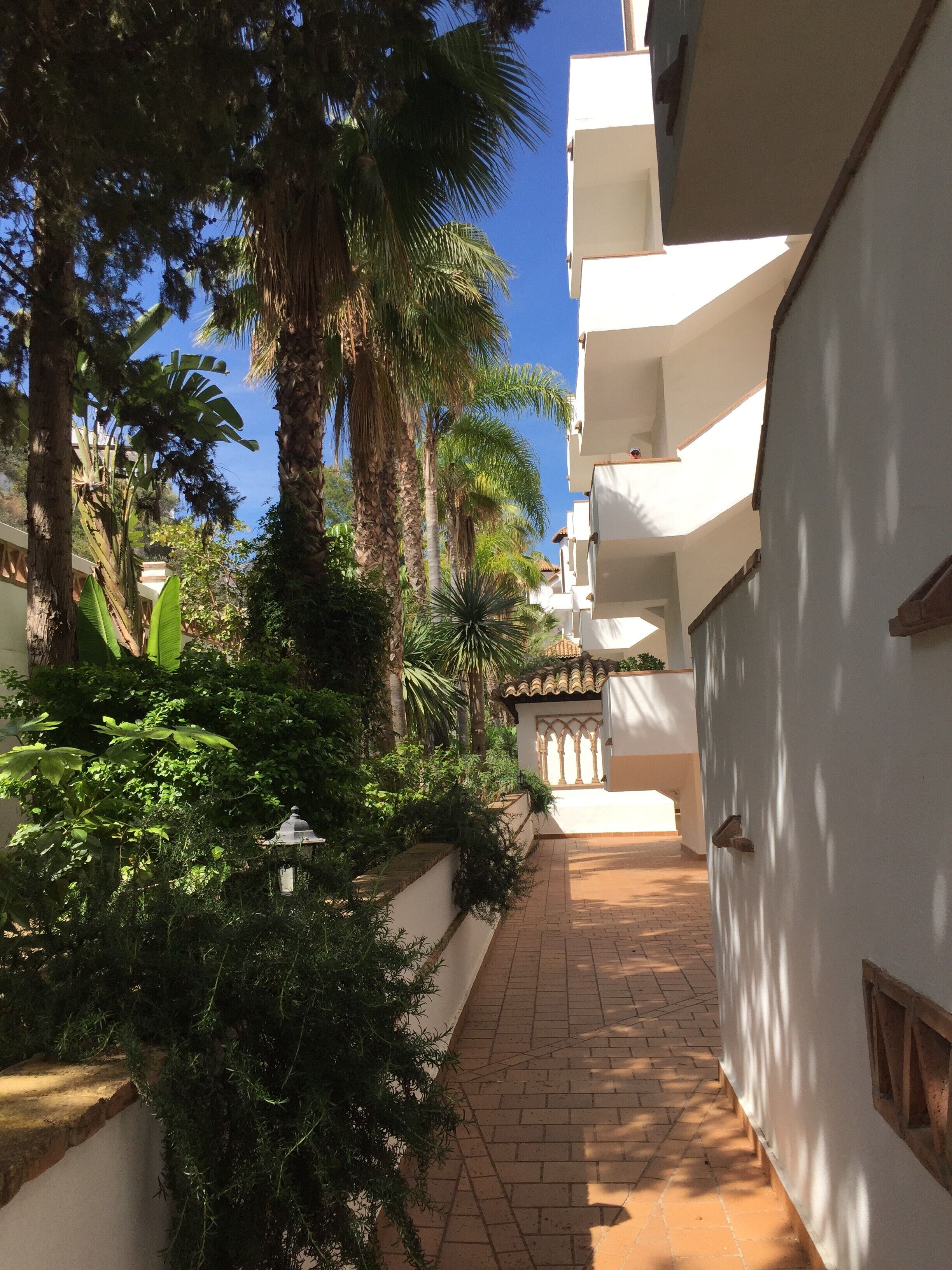 A narrow pathway flanked by lush greenery and white buildings with balconies.