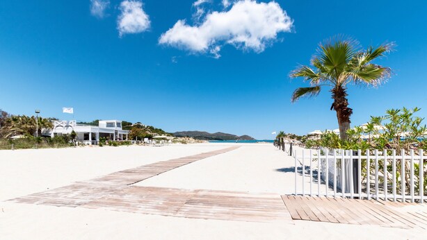A beach with a wooden walkway, palm trees, and a clear blue sky.