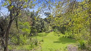 Un jardín exuberante y verde con una variedad de árboles y arbustos, un sendero despejado y un césped bien cuidado.