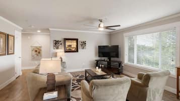 TV, fireplace, video games