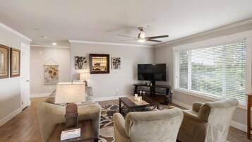 TV, fireplace, video games