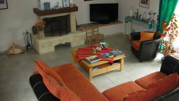 Télévision, cheminée, lecteur de DVD, livres