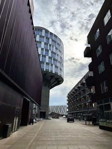 City Apartment in Copenhagen with 3 bedrooms sleeps 5