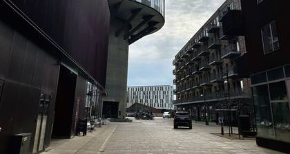 City Apartment in Copenhagen with 3 bedrooms sleeps 5