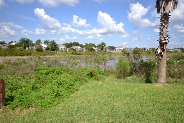 Property grounds - Sweet Magnolia (Kissimmee)