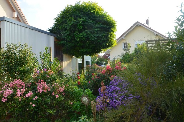 Imagen sin descripción, 1 de 19, botón