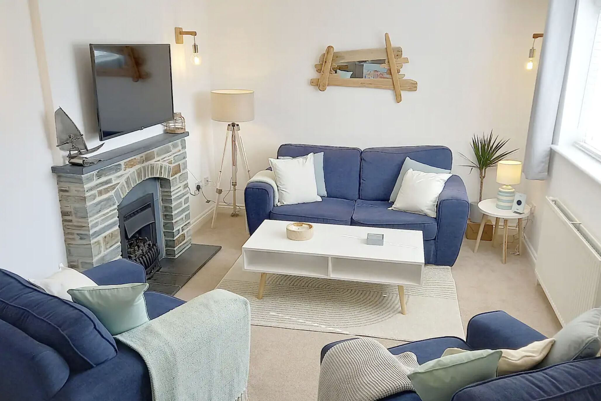 Smart TV, fireplace, books