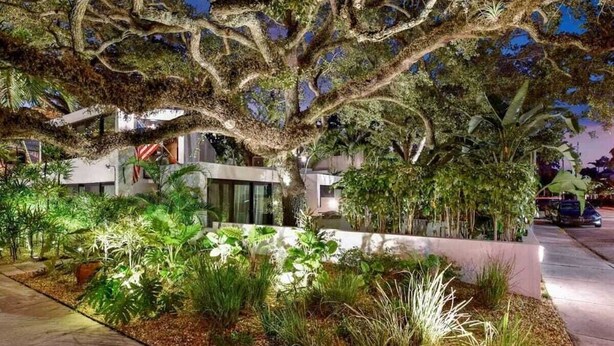 A modern building with a large tree in the foreground, surrounded by various plants and a paved walkway.