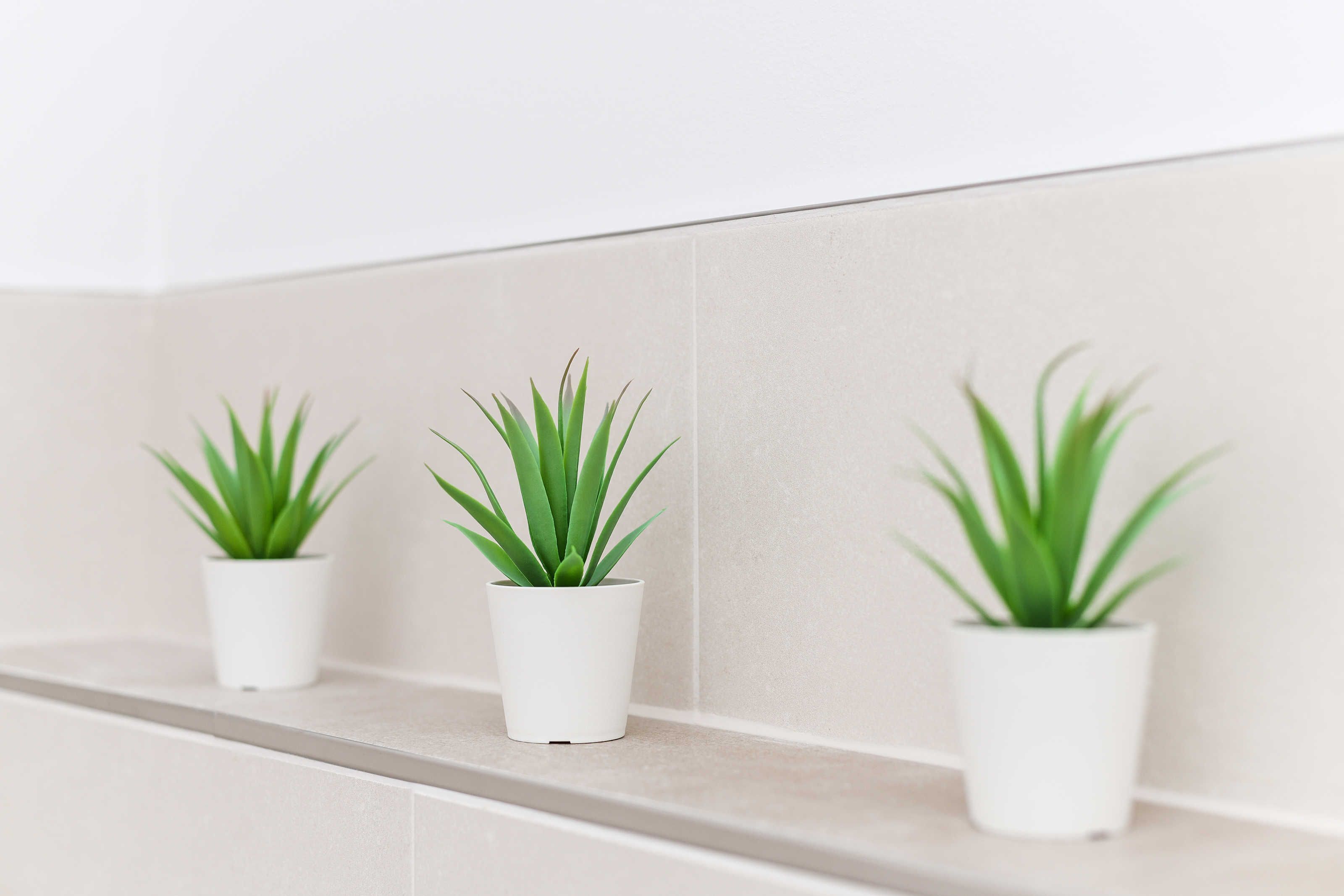 Drie potplanten op een witte plank tegen een betegelde muur.