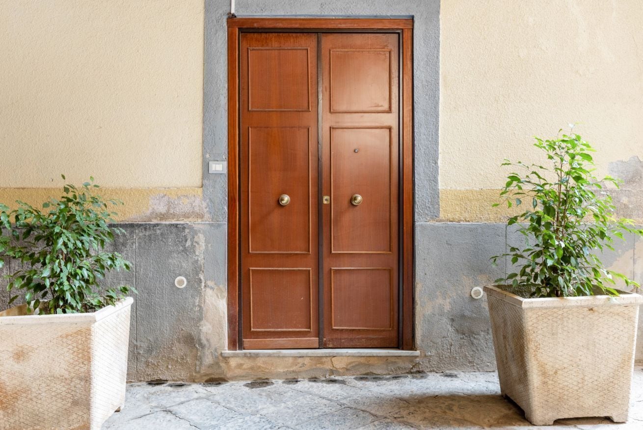 A wooden double door with two brass handles, flanked by two potted plants.