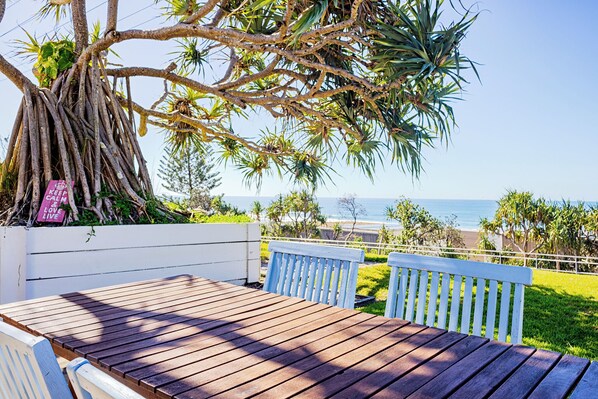 A wooden deck with a bench, a tree with hanging roots, and a view of the ocean.
