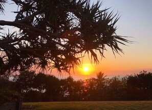 A sunset with the sun partially obscured by tree branches.