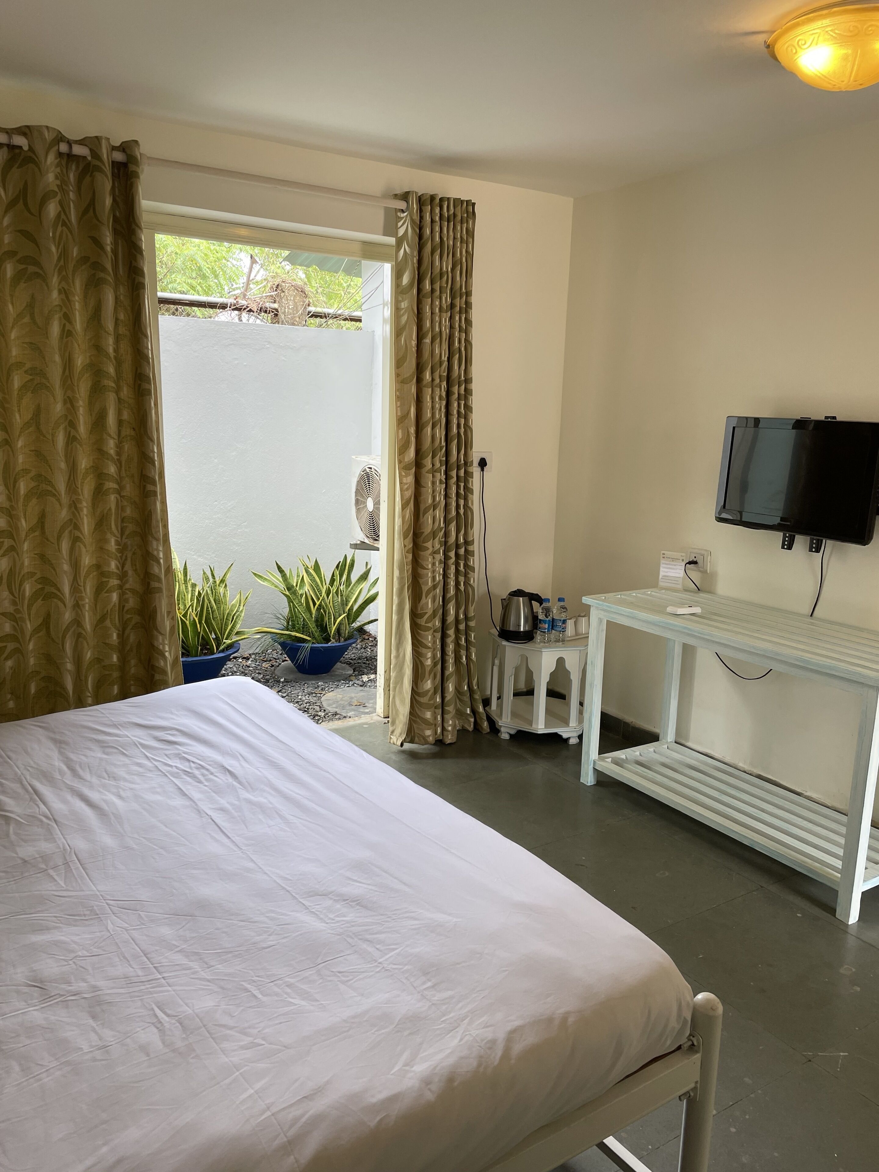A hotel room with a bed, a TV mounted on the wall, a small table with a kettle, and potted plants.
