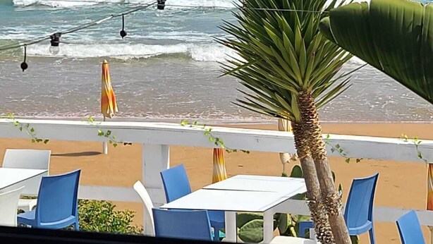 A beachside view with a palm tree, chairs, and tables, overlooking the ocean. - Natura Pura Wellness Oasis near Laghetti di Cavagrande (Avola)