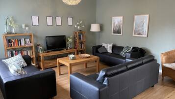 TV connectée, cheminée, lecteur de DVD, livres