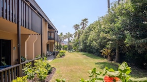 Property grounds - Parrots Paradise  (South Padre Island)
