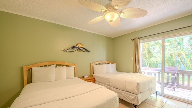 Room - Parrots Paradise  (South Padre Island)