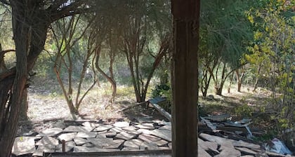 Cabin in the Woods with large hall for camping and events