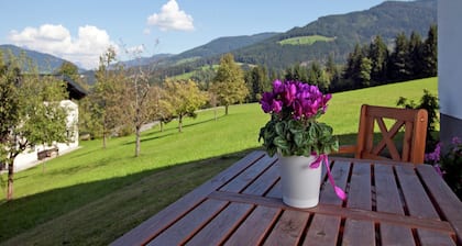 Chalet in Hüttau near Ski Amade Slopes