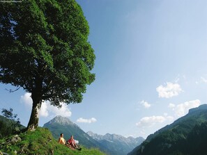 Een grote boom met twee personen op een grasheuvel met uitzicht op een bergachtig landschap.
