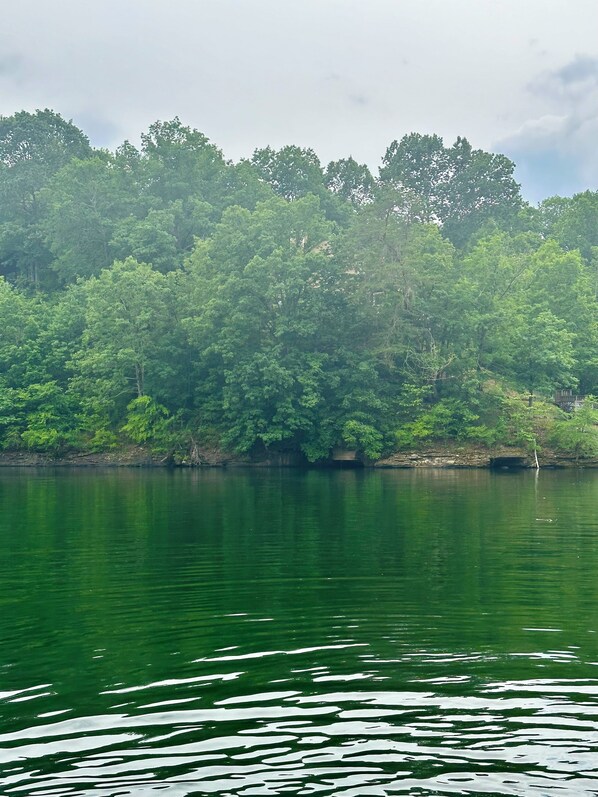 A calm lake surrounded by dense green forest.
