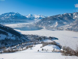 Miscellaneous - Apartment in Maishofen near Ski Slopes (Maishofen)