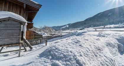 Apartment Leogang near Ski Slopes