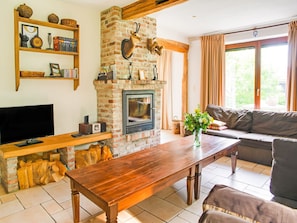 TV, fireplace, DVD player, ping pong