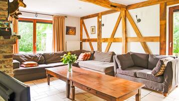 TV, fireplace, DVD player, table tennis